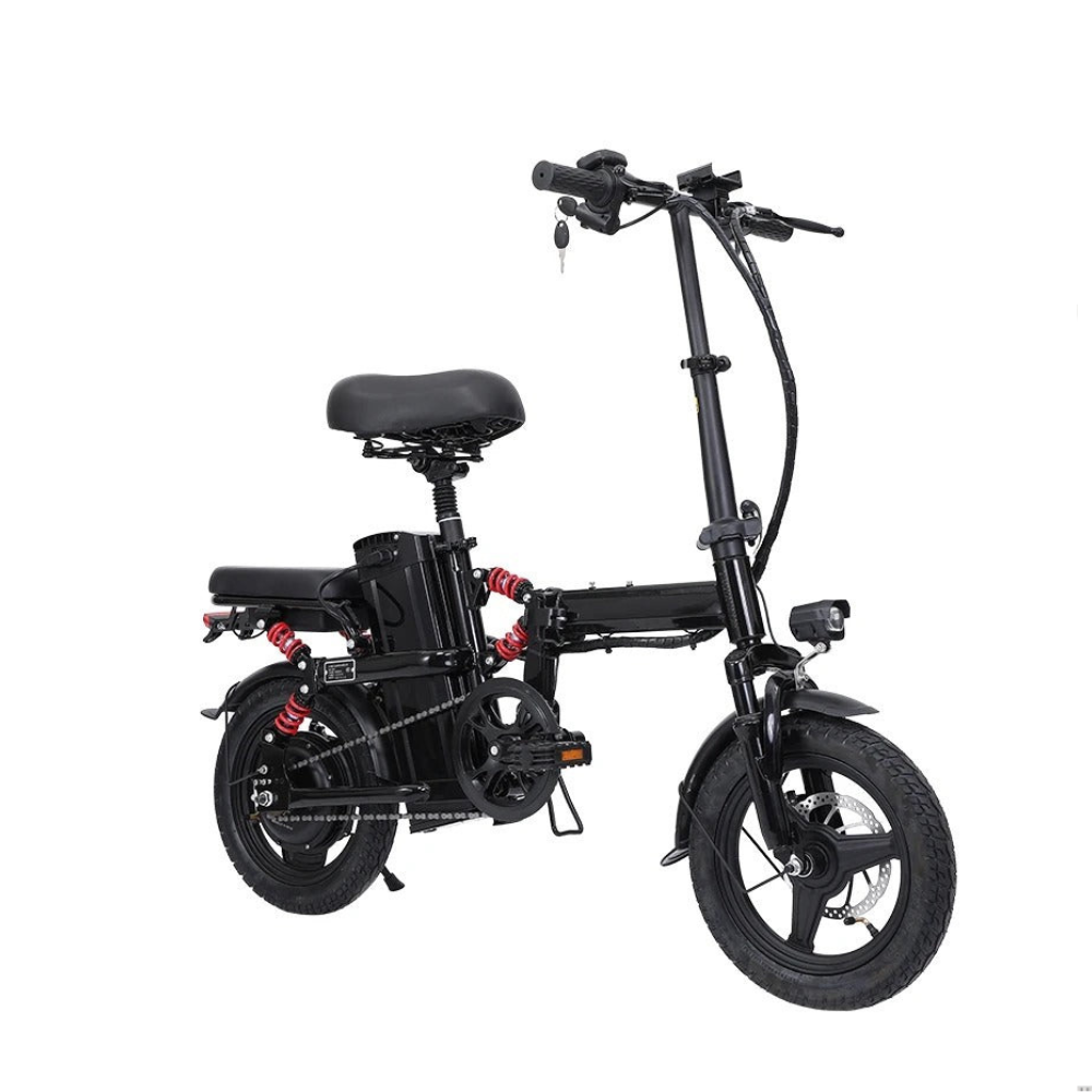 350W Foldable Electric Bike