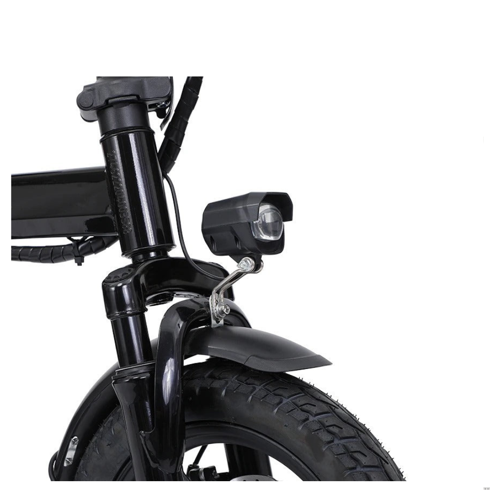 350W Foldable Electric Bike
