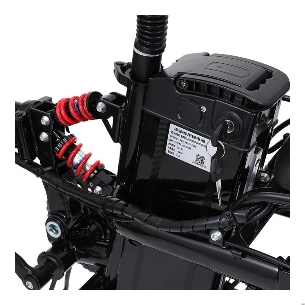 350W Foldable Electric Bike