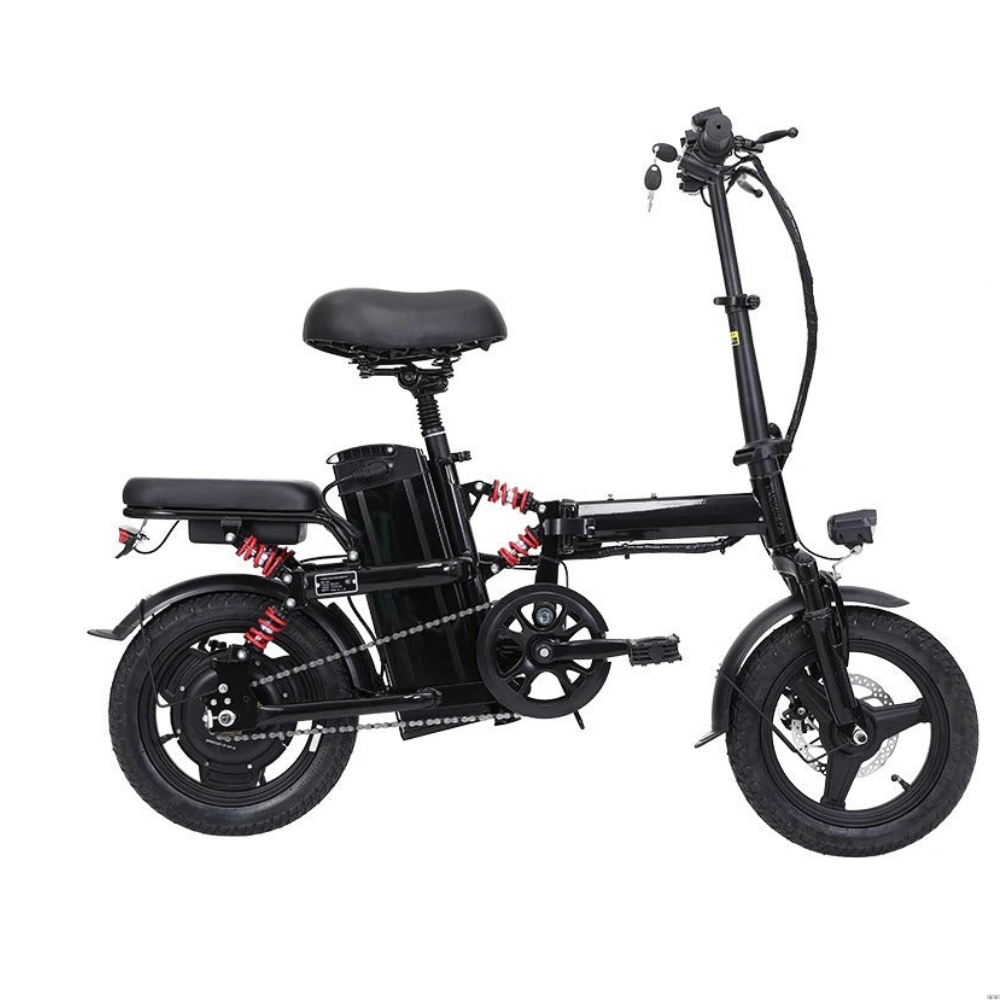350W Foldable Electric Bike