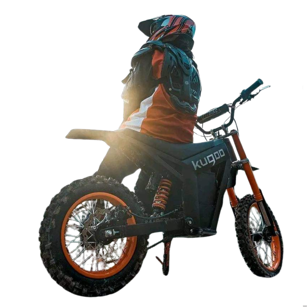 Wish 01 Electric Bike | 1500W Motor